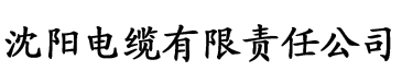 黄蓉秘史未删减电缆厂logo